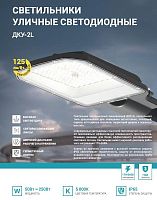 Светильник уличный линзованный светодиодный ДКУ-2L 120Вт 230В 5000К 15000лм 125лм/Вт 48-70мм IP65 NE